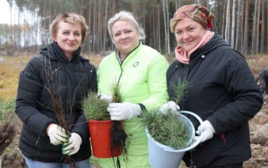 Станьце прыкладам – пасадзіце дрэвы