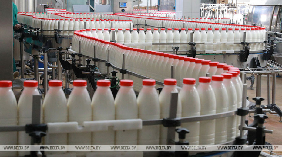 Беларусь планирует увеличить объемы производства молока и мяса